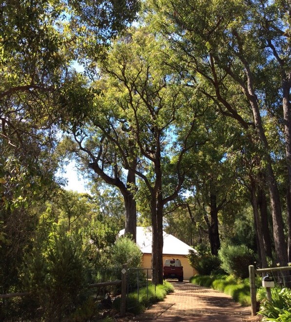 Give me a home among the gum trees......